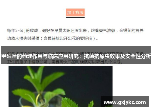 甲硝唑的药理作用与临床应用研究：抗菌抗原虫效果及安全性分析