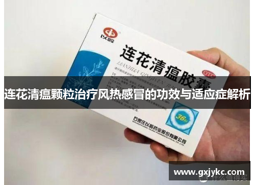 连花清瘟颗粒治疗风热感冒的功效与适应症解析